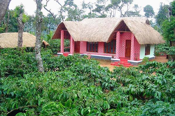 Coffee County Coorg Homestay, Coorg 5